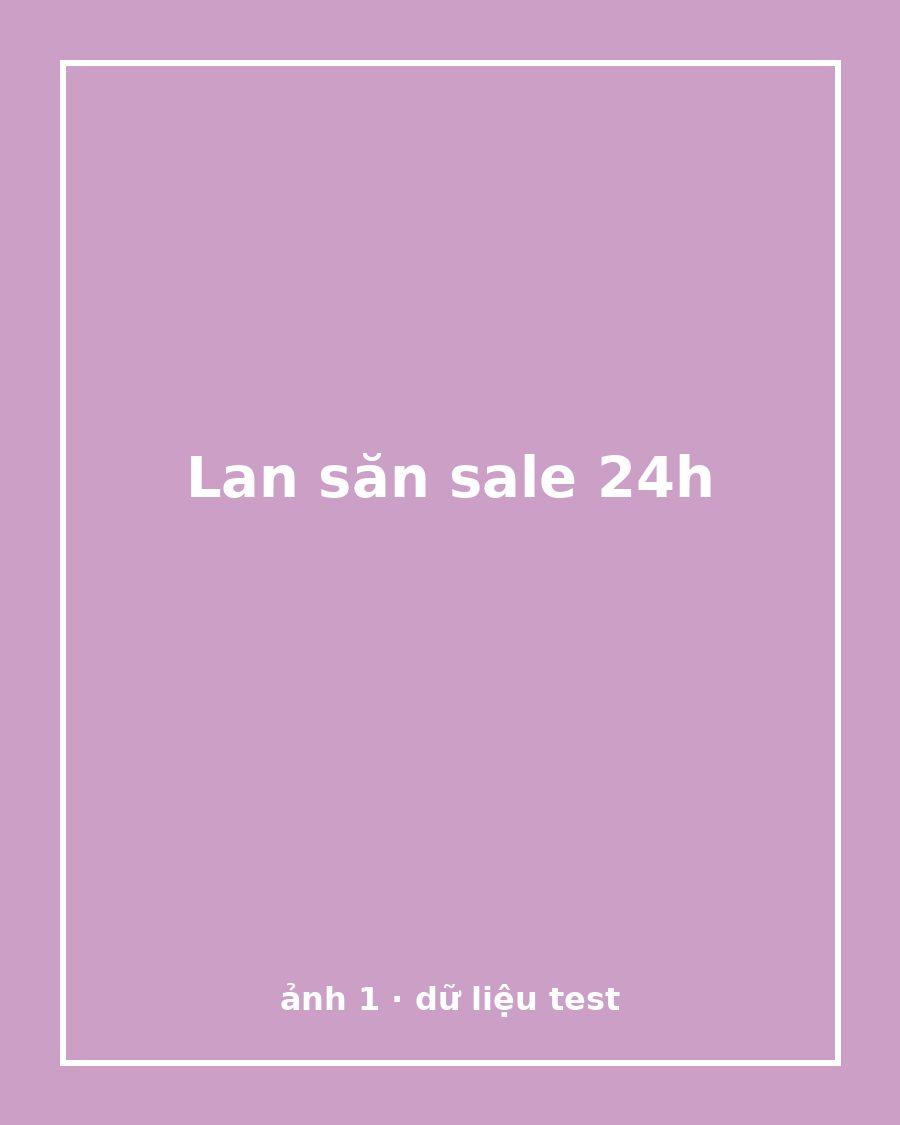 Lan săn sale 24h